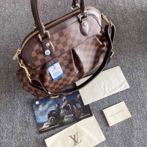 Sra. Louis Vuitton bolsos de hombro, calabaza de ajedrez, bollos de albóndigas