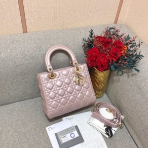 Bolso de la Sra. Dior