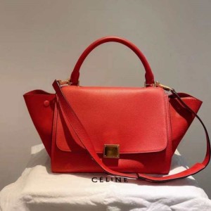 Bolso de la Sra. Celine