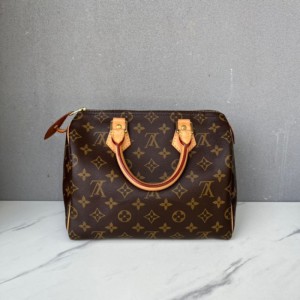 Bolso de mujer de la Sra. Louis Vuitton