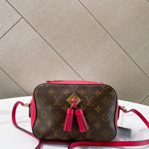 Sra. Louis Vuitton bolso de cámara para un hombro